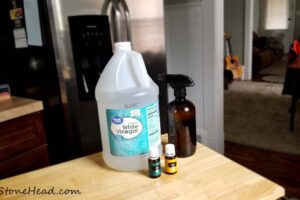 the stone head diy natural glass cleaner recipe